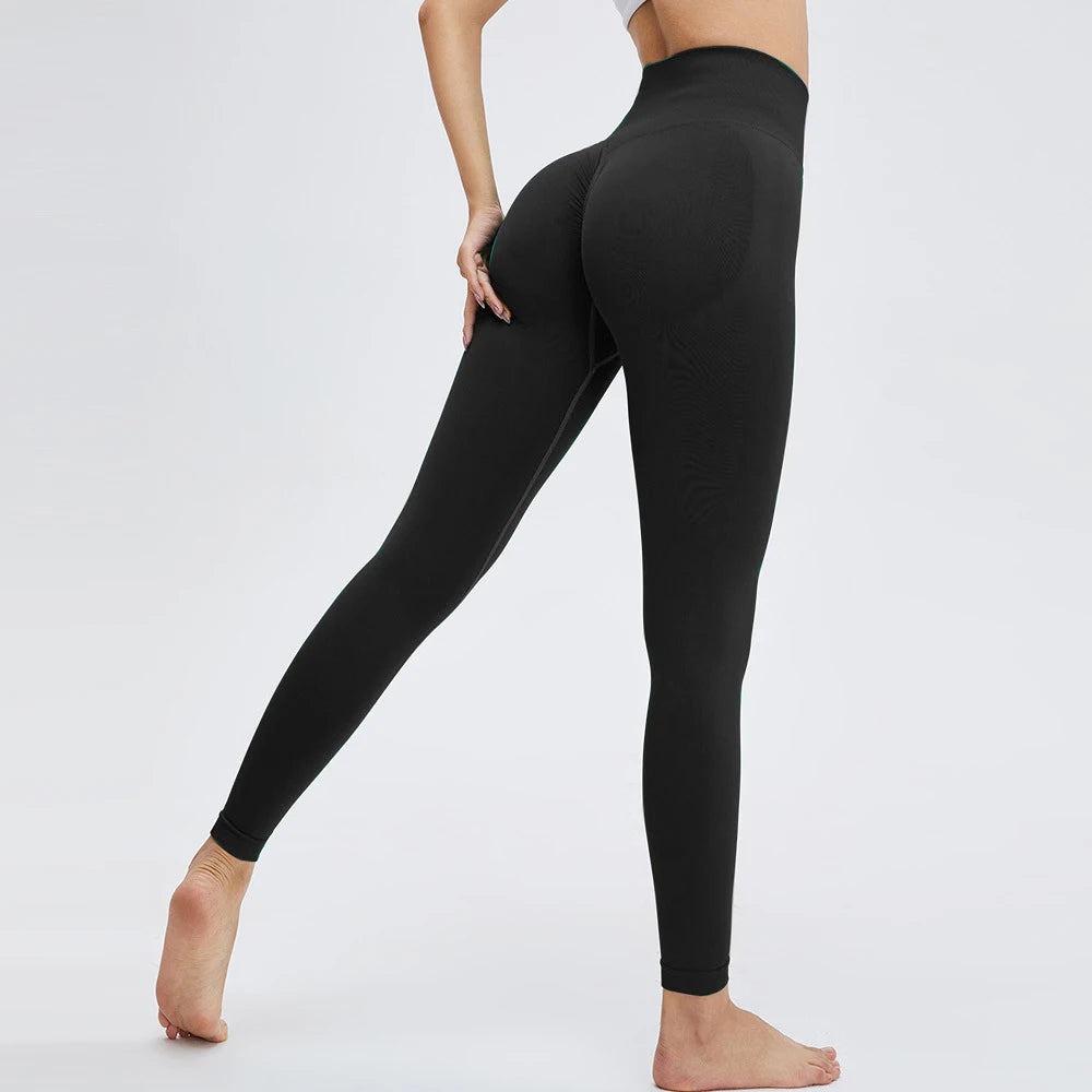 Nelly Seamless Push